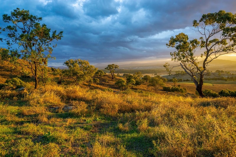 Natural Vistas